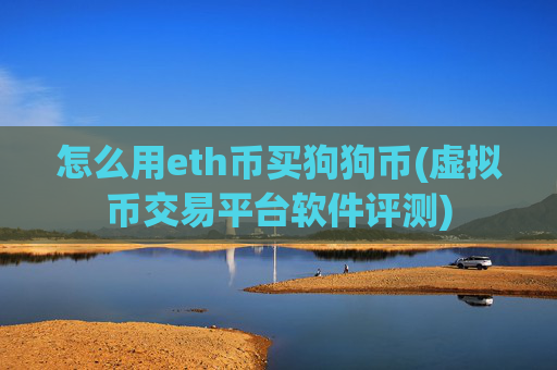 怎么用eth币买狗狗币(虚拟币交易平台软件评测)