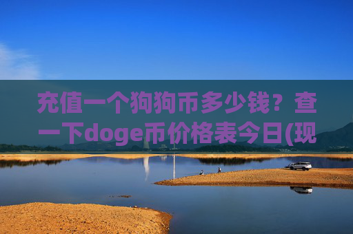 充值一个狗狗币多少钱？查一下doge币价格表今日(现价2.9902元)