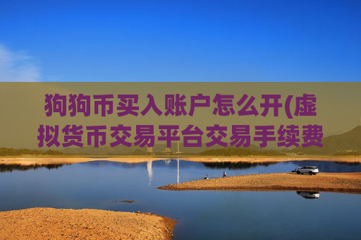 狗狗币买入账户怎么开(虚拟货币交易平台交易手续费低)