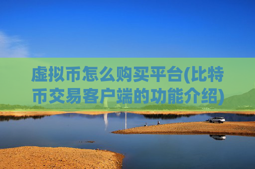 虚拟币怎么购买平台(比特币交易客户端的功能介绍)