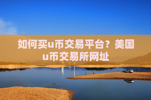 如何买u币交易平台？美国u币交易所网址