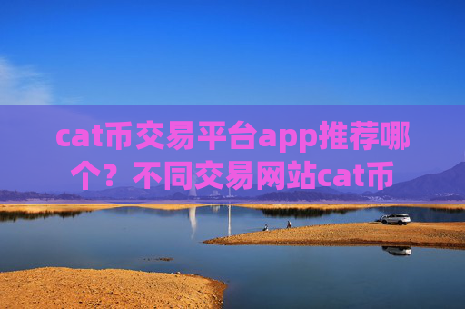 cat币交易平台app推荐哪个？不同交易网站cat币