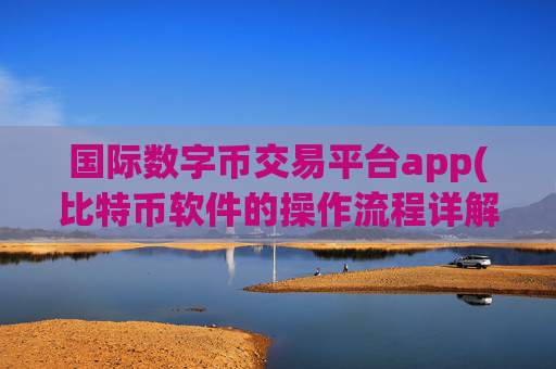 国际数字币交易平台app(比特币软件的操作流程详解)