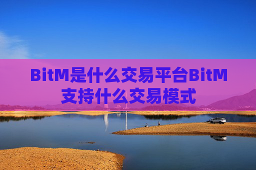 BitM是什么交易平台BitM支持什么交易模式