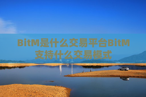BitM是什么交易平台BitM支持什么交易模式