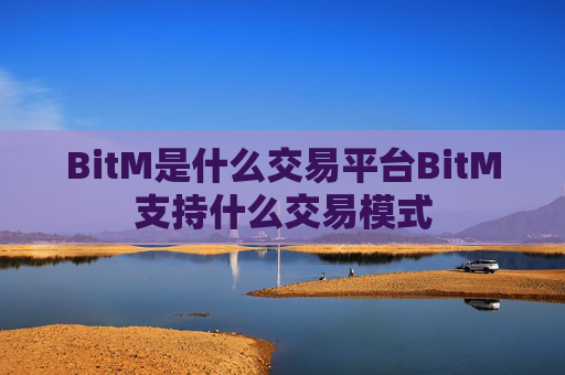 BitM是什么交易平台BitM支持什么交易模式