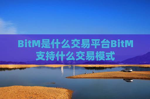 BitM是什么交易平台BitM支持什么交易模式