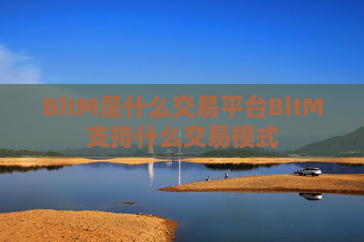 BitM是什么交易平台BitM支持什么交易模式
