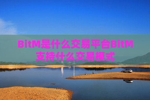 BitM是什么交易平台BitM支持什么交易模式