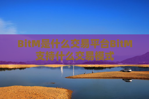 BitM是什么交易平台BitM支持什么交易模式