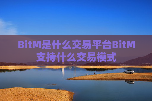 BitM是什么交易平台BitM支持什么交易模式
