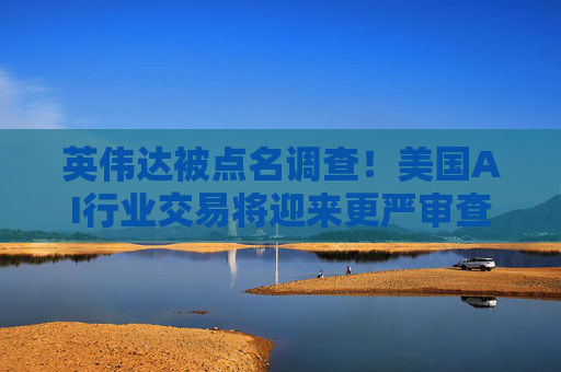 英伟达被点名调查！美国AI行业交易将迎来更严审查