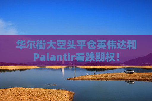 华尔街大空头平仓英伟达和Palantir看跌期权！