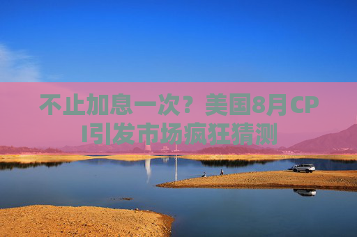 不止加息一次？美国8月CPI引发市场疯狂猜测