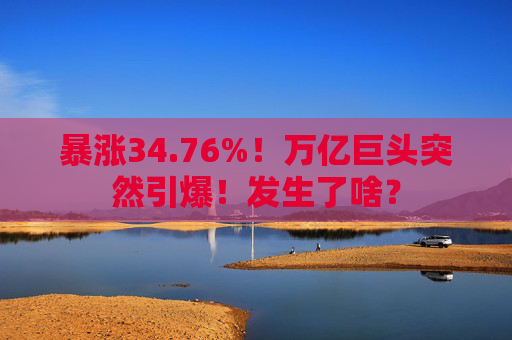 暴涨34.76%！万亿巨头突然引爆！发生了啥？