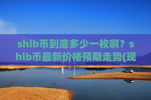 shib币到底多少一枚啊？shib币最新价格预期走势(现价0.00016296元)