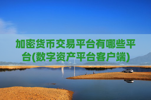加密货币交易平台有哪些平台(数字资产平台客户端)