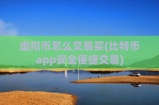 虚拟币怎么交易买(比特币app安全便捷交易)