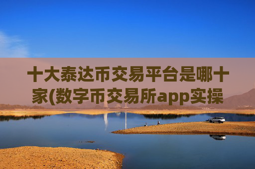 十大泰达币交易平台是哪十家(数字币交易所app实操演练)