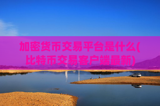 加密货币交易平台是什么(比特币交易客户端最新)