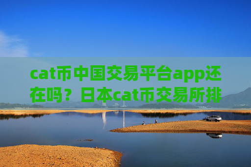 cat币中国交易平台app还在吗？日本cat币交易所排名榜