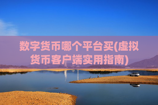 数字货币哪个平台买(虚拟货币客户端实用指南)