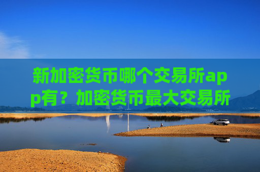 新加密货币哪个交易所app有？加密货币最大交易所排行榜