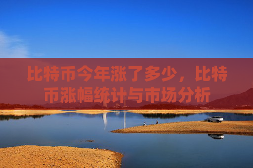比特币今年涨了多少，比特币涨幅统计与市场分析