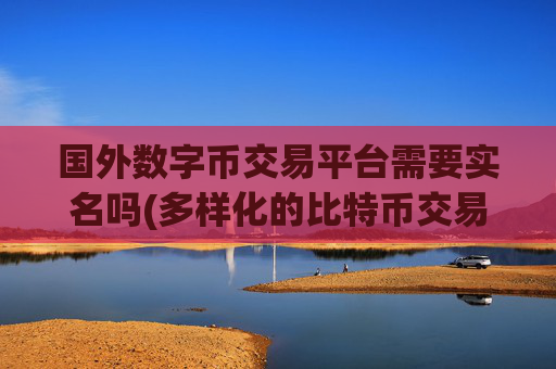 国外数字币交易平台需要实名吗(多样化的比特币交易)