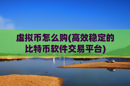 虚拟币怎么购(高效稳定的比特币软件交易平台)