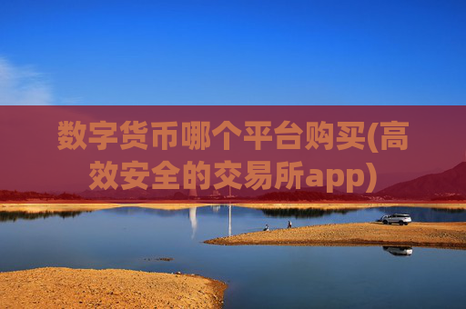 数字货币哪个平台购买(高效安全的交易所app)