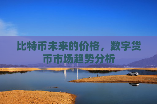 比特币未来的价格，数字货币市场趋势分析