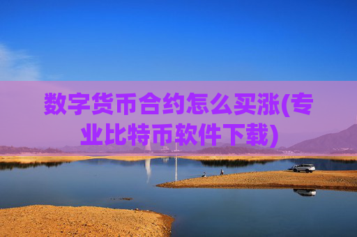 数字货币合约怎么买涨(专业比特币软件下载)
