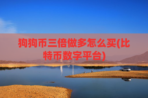 狗狗币三倍做多怎么买(比特币数字平台)