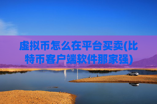 虚拟币怎么在平台买卖(比特币客户端软件那家强)