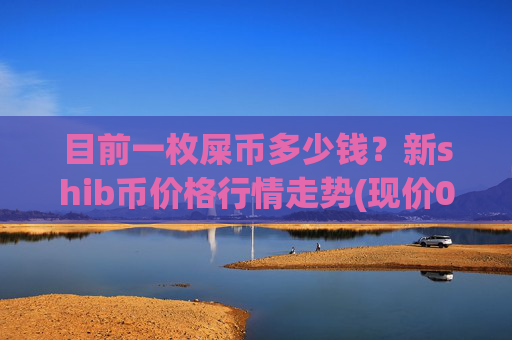 目前一枚屎币多少钱？新shib币价格行情走势(现价0.00022063元)