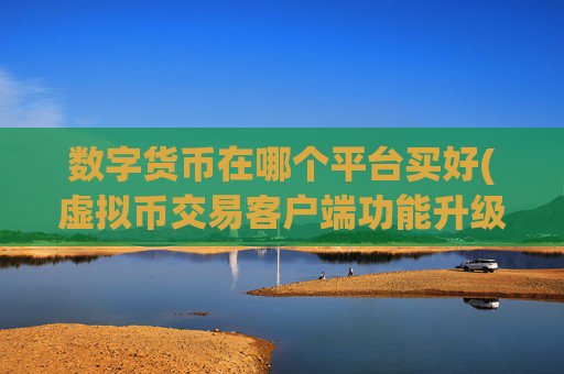 数字货币在哪个平台买好(虚拟币交易客户端功能升级)
