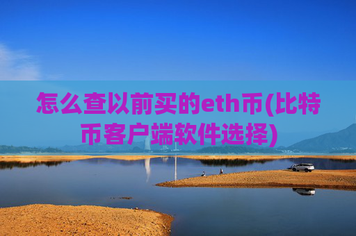 怎么查以前买的eth币(比特币客户端软件选择)