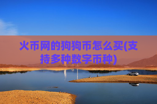 火币网的狗狗币怎么买(支持多种数字币种)