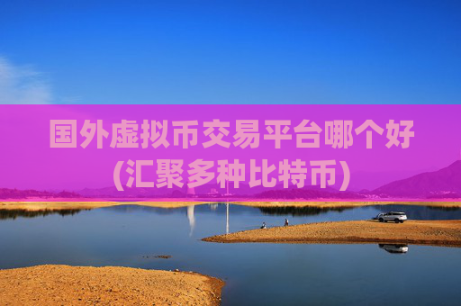 国外虚拟币交易平台哪个好(汇聚多种比特币)