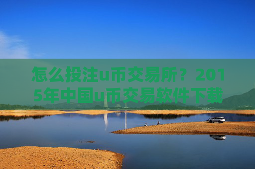 怎么投注u币交易所？2015年中国u币交易软件下载