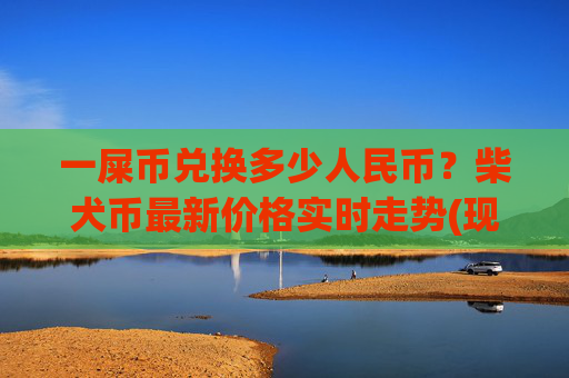 一屎币兑换多少人民币？柴犬币最新价格实时走势(现价0.0002196元)
