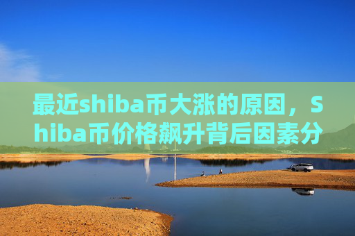 最近shiba币大涨的原因，Shiba币价格飙升背后因素分析