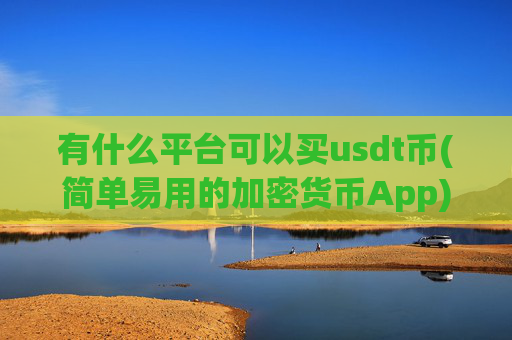 有什么平台可以买usdt币(简单易用的加密货币App)