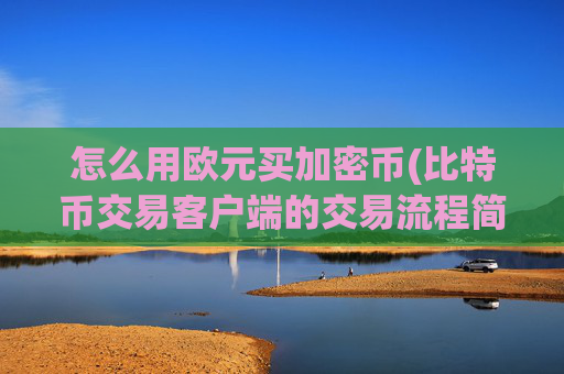 怎么用欧元买加密币(比特币交易客户端的交易流程简介)