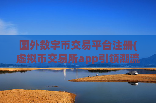 国外数字币交易平台注册(虚拟币交易所app引领潮流)