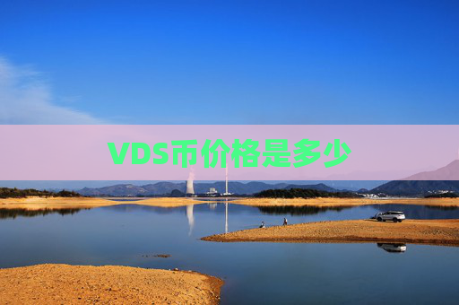 VDS币价格是多少