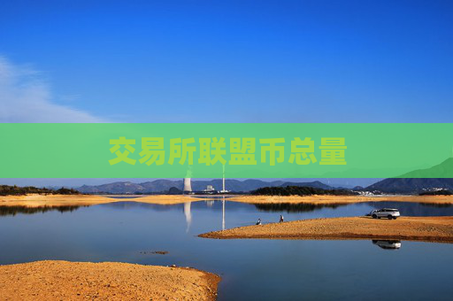 交易所联盟币总量