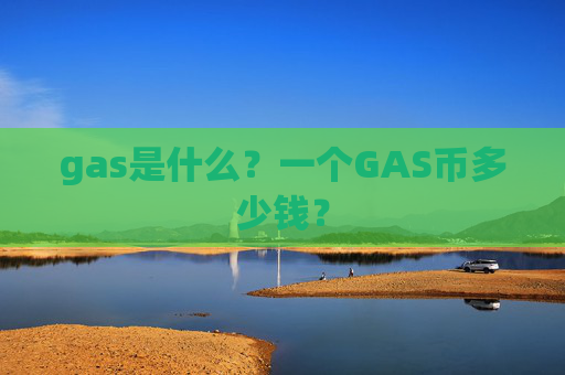 gas是什么？一个GAS币多少钱？
