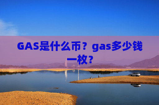 GAS是什么币?gas多少钱一枚?
